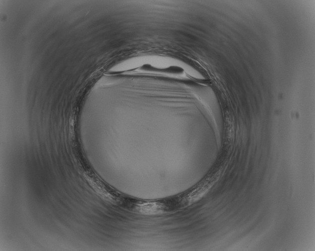 X0000084010269200703161721