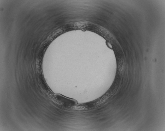 X0000084010270200703161721