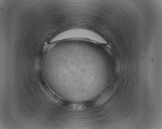 X0000084010272200703161721