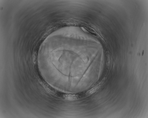 X0000084010273200703161721