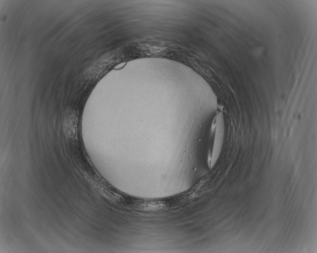 X0000084010274200703161721