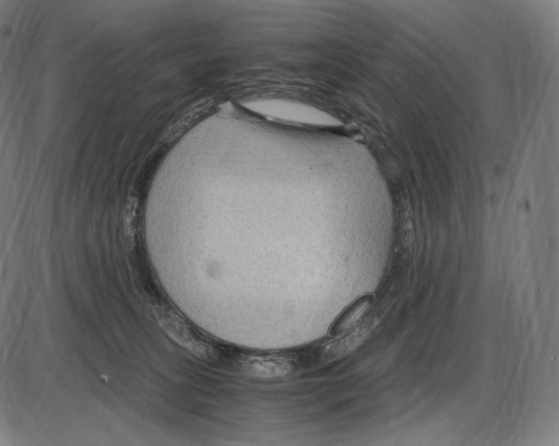 X0000084010275200703161721