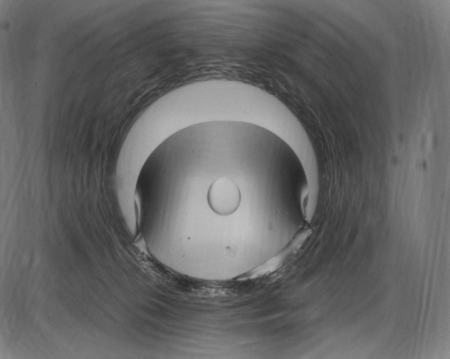 X0000084010276200703161721