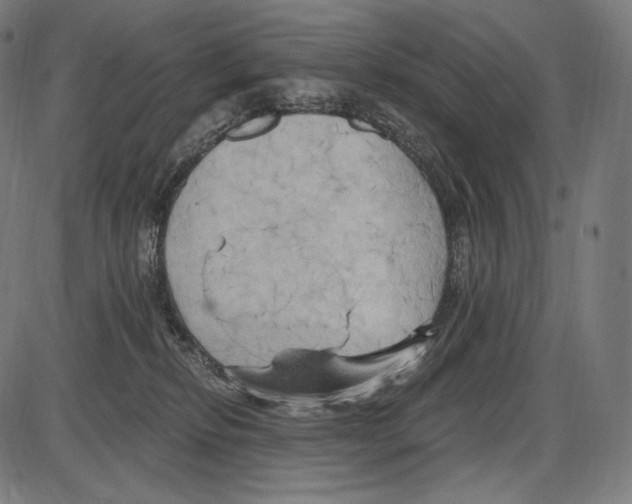 X0000084010278200703161721