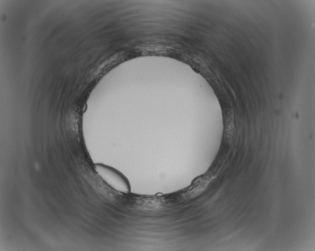 X0000084010282200703161721