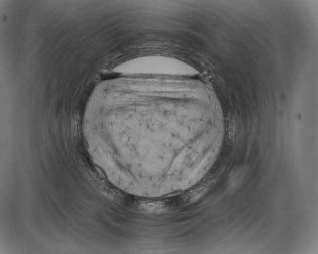 X0000084010283200703161721