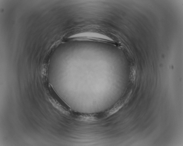 X0000084010284200703161722