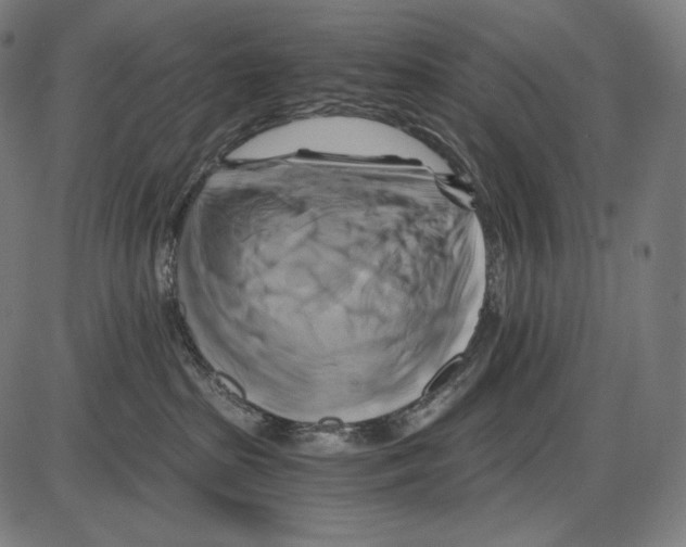 X0000084010285200703161722