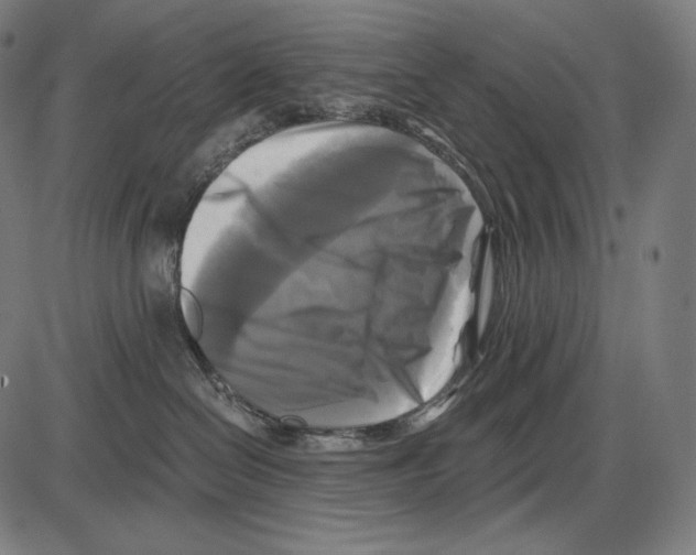 X0000084010286200703161722