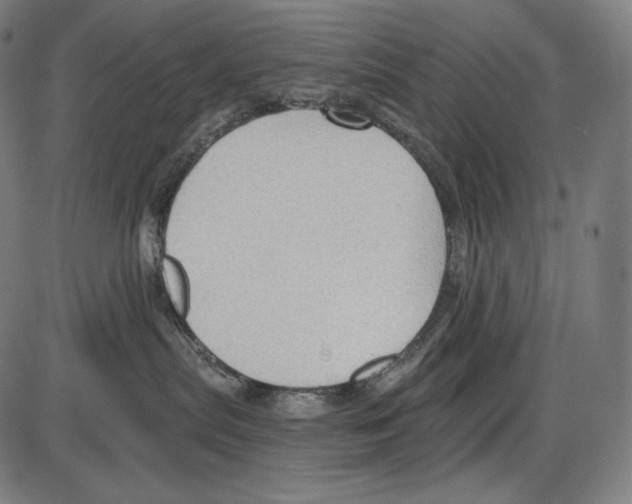 X0000084010287200703161722