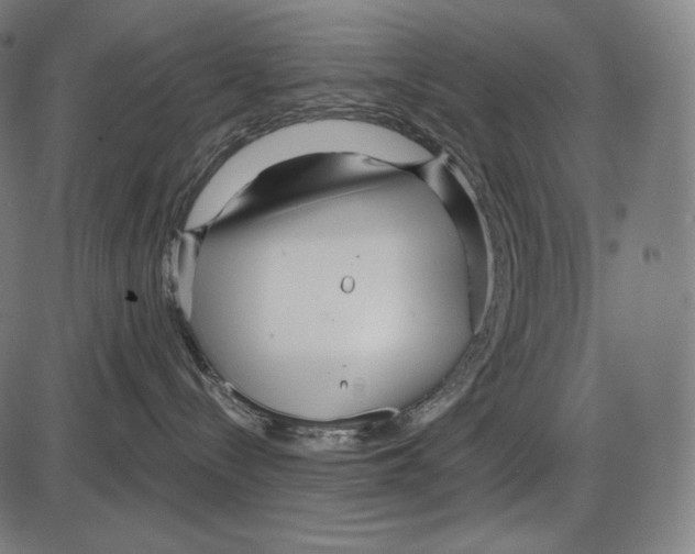 X0000084010288200703161722