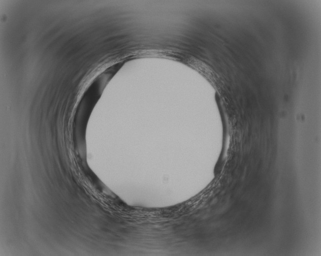 X0000084010289200703161721