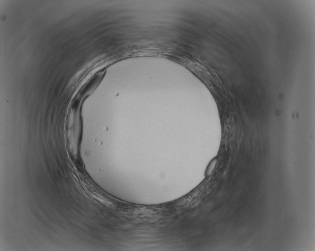 X0000084010290200703161721