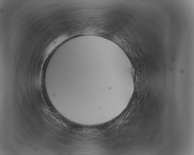 X0000084010292200703161721