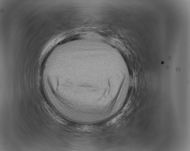 X0000084010293200703161721