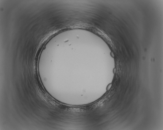 X0000084010298200703161721