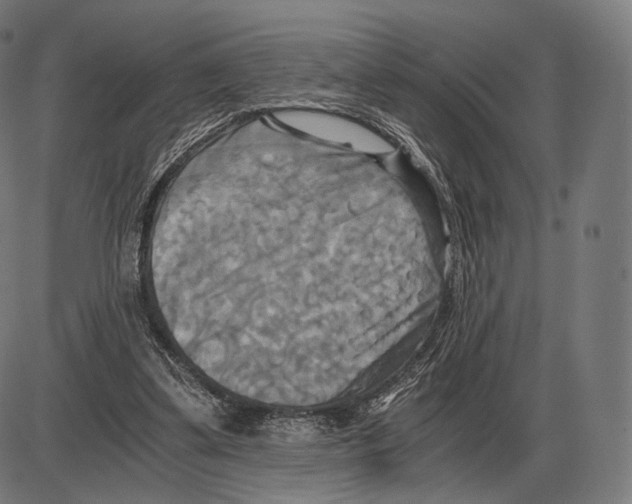 X0000084010299200703161721