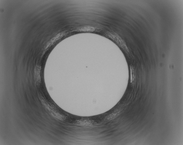 X0000084010300200703161721