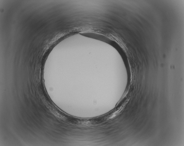 X0000084010301200703161721