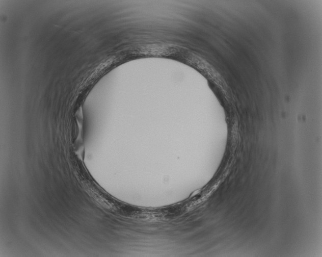 X0000084010305200703161720