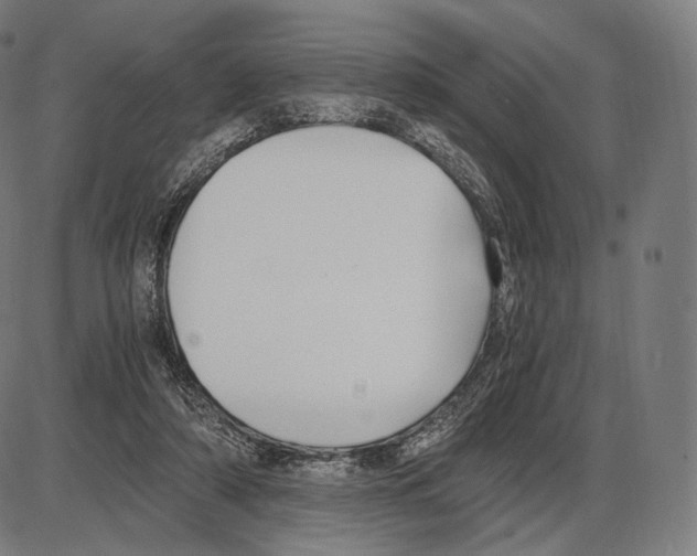 X0000084010306200703161720