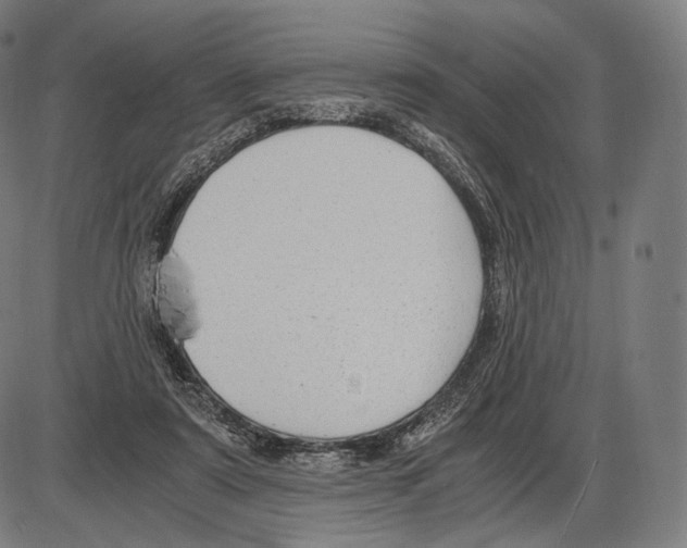 X0000084010307200703161720