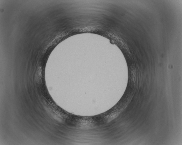 X0000084010308200703161720