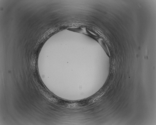 X0000084010309200703161720