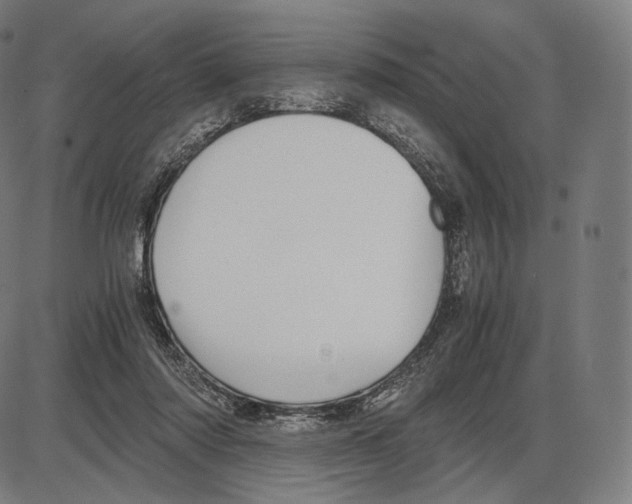 X0000084010310200703161720