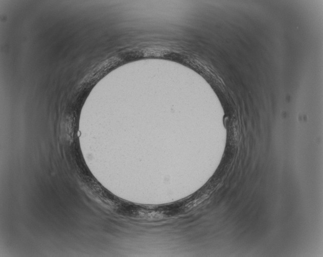 X0000084010311200703161720