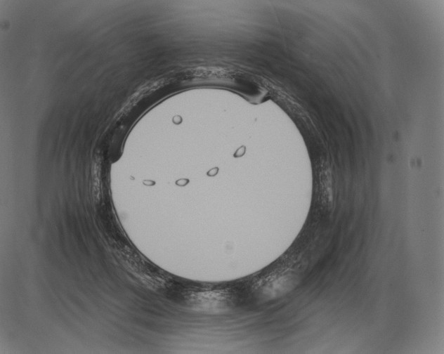 X0000084010312200703161720