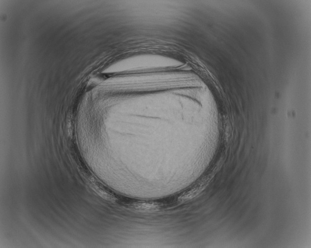 X0000084010313200703161720