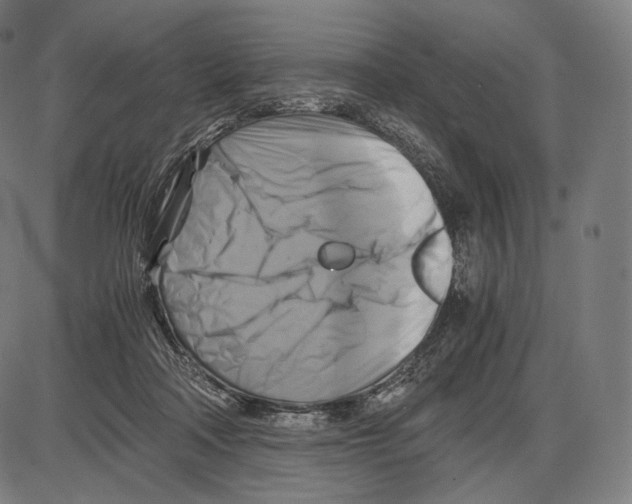 X0000084010314200703161720