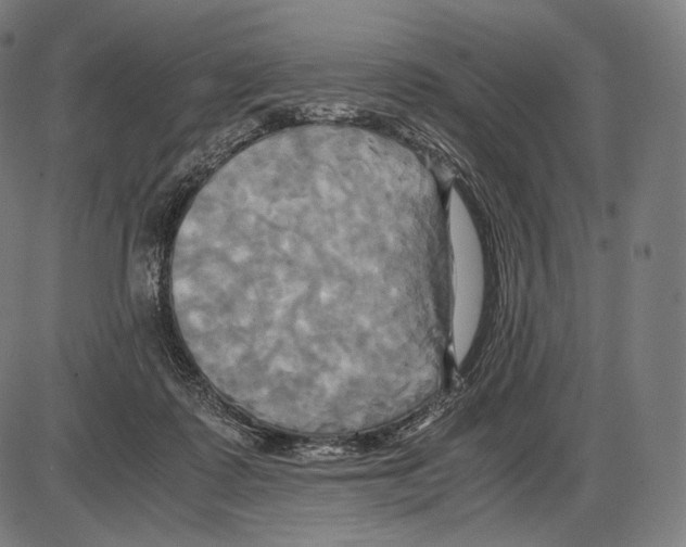 X0000084010315200703161720