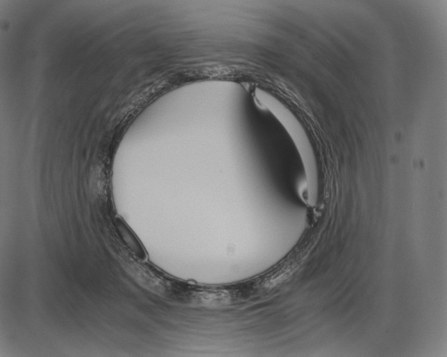 X0000084010317200703161720