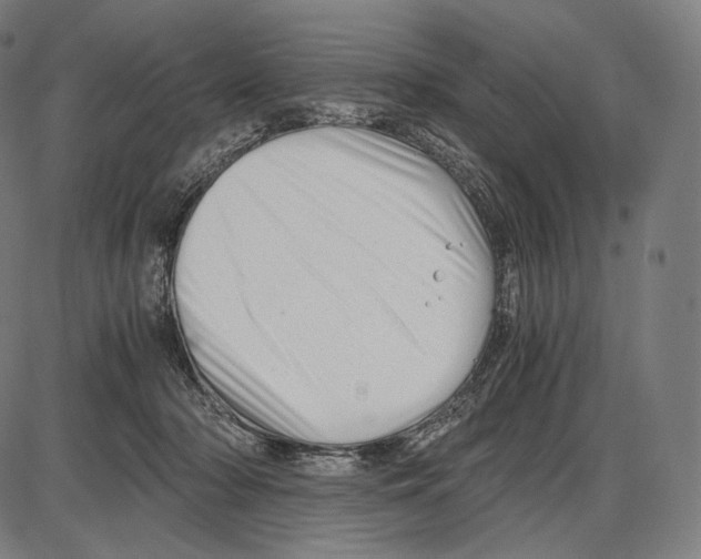 X0000084010318200703161720