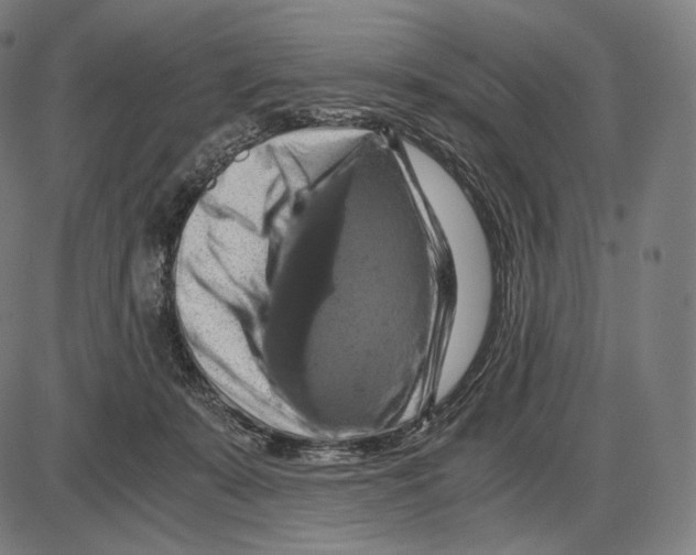 X0000084010319200703161720