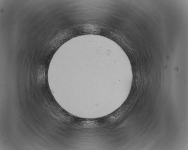 X0000084010320200703161720