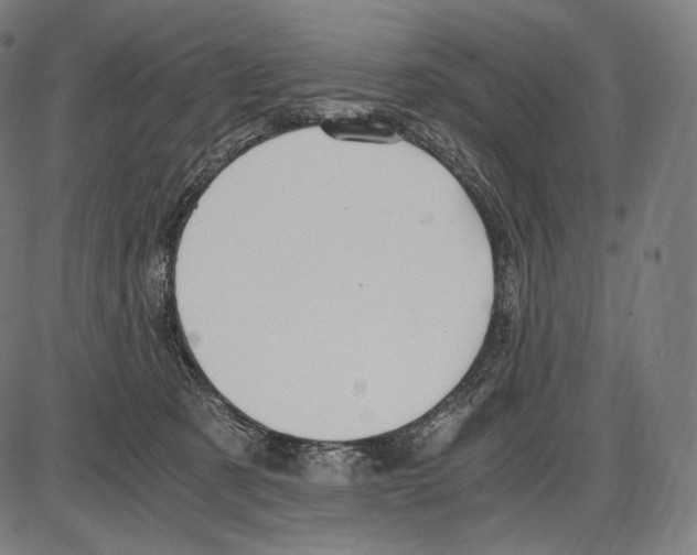 X0000084010321200703161720