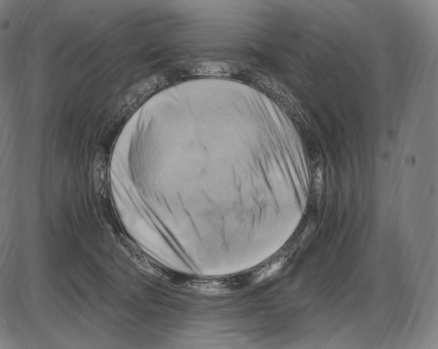 X0000084010322200703161720