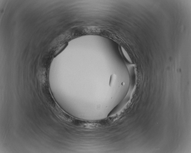 X0000084010323200703161720