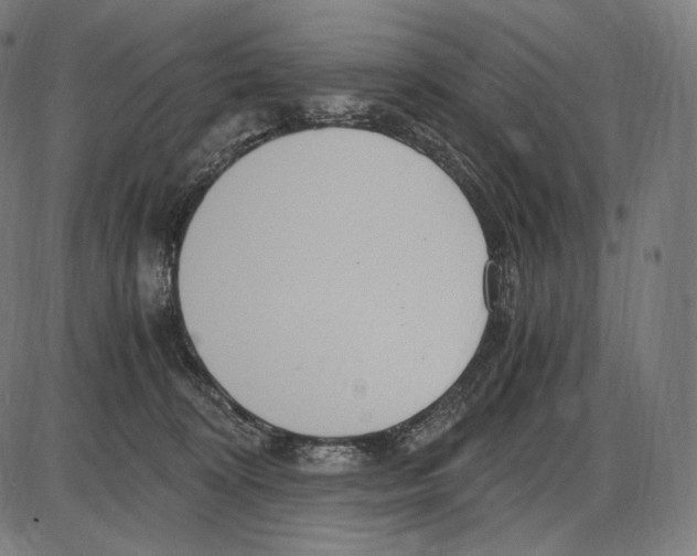 X0000084010324200703161720