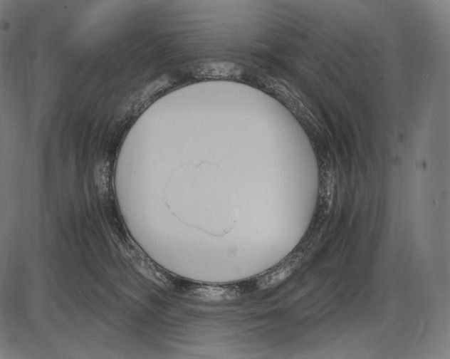 X0000084010326200703161720