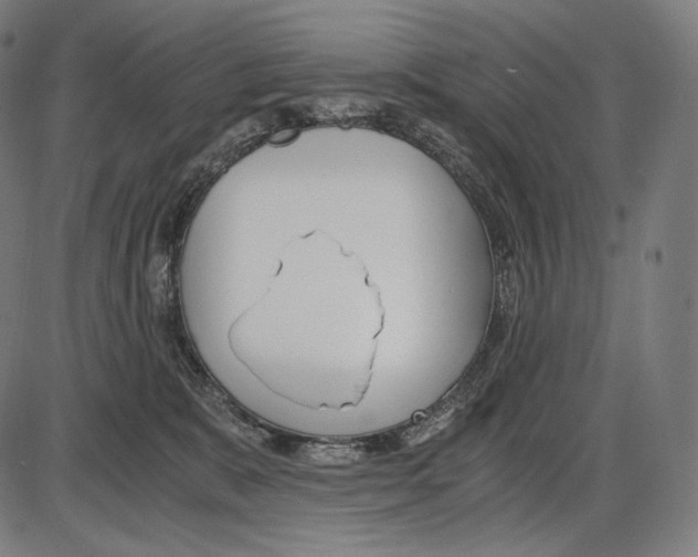 X0000084010327200703161720