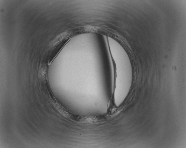 X0000084010329200703161720