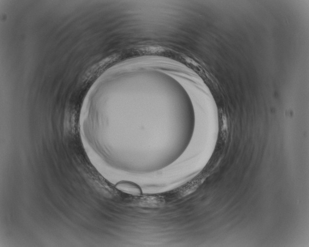 X0000084010330200703161720