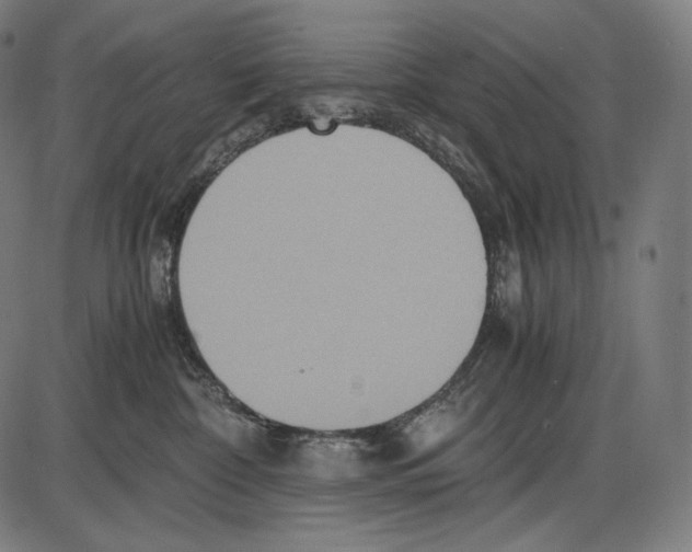 X0000084010332200703161720