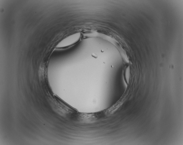 X0000084010333200703161720