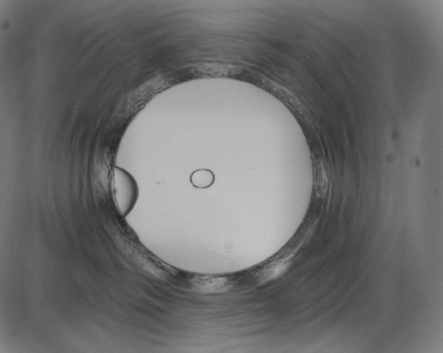 X0000084010334200703161720