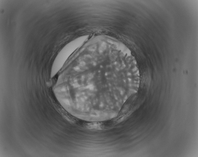 X0000084010335200703161720